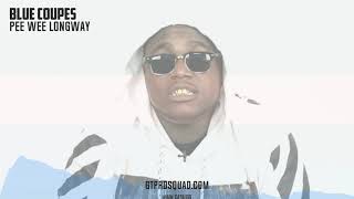 [FREE] Peewee Longway Type Beat 2019 Blue Coupes (Download Now)