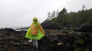 Botanical Beach, Provincial Park
Vancouver Island, BC, Canada