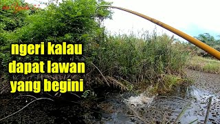 NGERI JUGA MANCING DI AIR HITAM || MANCING BETOK