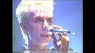 Peter Murphy Cuts You up