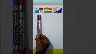 Caribbean 🇧🇶 Panama 🇵🇦 And Indian 🇮🇳 Flag | #shorts #ytshorts