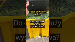 Jak ukisić tonę ogórków? W wannie wychwytowej!  #bhp #przemysł #safety #produkcja