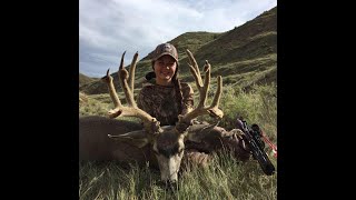 Alberta Velvet Mule Deer - First Archery Buck