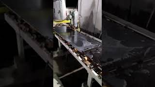 Line polish machine