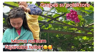 Sam gi problems kayadagi fanaba mama na teibiba😇|Nisha’s vlog