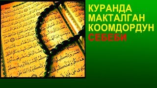 Куранда макталган коомдордун себеби