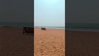 Sea ⛵ Beach ⛱️ #sea #beach #Puri #Golden #shortvideos