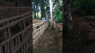 makam angker di gunung cikuray