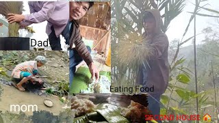 Boilings Broomsticks v/s Unboiling broomsticks 🤔😀 |cultivated Area