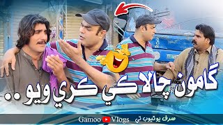 Gamoo Chalaki Kare Wayo | Asif Pahore (GAMOO) | Gamoo Vlogs | Kheero Buriro