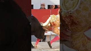 Why does bull get angry when red cloth is shown 🐂🐂🚩🚩 || #shorts #viral #short