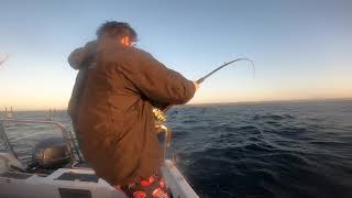 Fishing South Africa - Umkomass