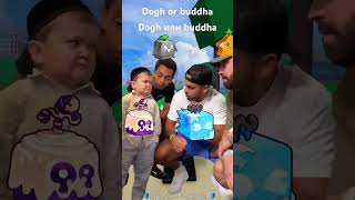 Dogh or buddha dogh или buddha