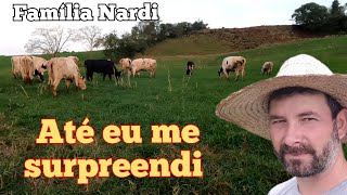 Quanto às nossas vacas estão produzindo. Falando sobre as pastagens e produção das vacas.