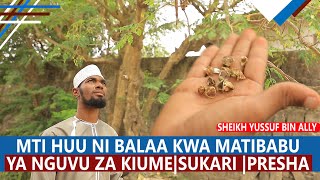 MTI HUU NI BALAA KWA MATIBABU YA NGUVU ZA KIUME |SUKARI |PRESHA |SHEIKH YUSSUF BIN ALLY