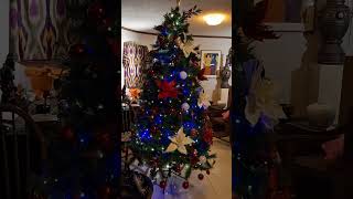 # Preparing for my christmas tree | Dion Gonzales