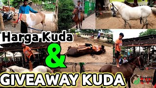 HARGA KUDA DAN GIVEAWAY KUDA