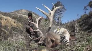 New Zealand Hunting experience with Brent Moody