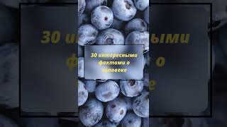 30 интересными фактов о человеке#