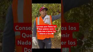 Consejo para Todos los que quieren venir Nada mas a barrer los dolares a usa 💵🤑 #campo #dólares #art