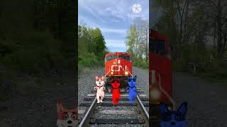 funny_danceing_colourfull_dog_stop_the_train_#trending_#youtubeshorts_#youtubeshorts_#magic_(360p)