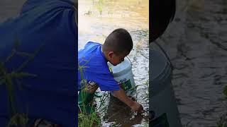 Poor 2 years boy grill snails for food on the hot stone  #grilled #food #cooking