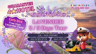 One Single Tour, Double the Enjoyment!  Lavender 2/3-Days Tour