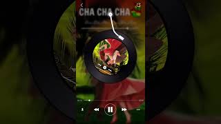 Reggae Cha Cha Remix Tik Tok 2024