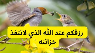 كلمات تريح قلبك وعقلك | خطوات بسيطة لجذب البركة في حياتك.#الاسلام #الرزق #subscribetomychannel