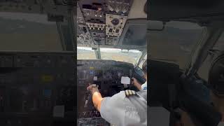 Rate this Landing from 0-10😎👏🛬 |BOEING 737-800|  #shorts #boeing #landing #pilot #737