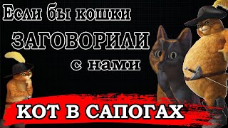 ЕСЛИ БЫ ТВОЙ КОТ ЗАГОВОРИЛ (переозвучка)