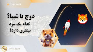 دوج یا شیبا | کدام یک سود بیشتری دارد؟ Doge or Shiba Inu?