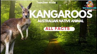 Information about | Kangaroos | Native Animal |Teacher Aide | Australia | English