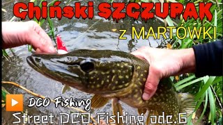 Szczupak"GIGANT" z Martówki Street @DCOFishing 6