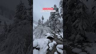 Gulmarg Live Snowfall..👻 #kashmir #kashmirtour #kashmirtourism #trendingreels #viralreels