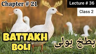 Urdu Lecture # 36 - Class 2 - Chapter 21 - Battakh Boli  / بطخ بولی