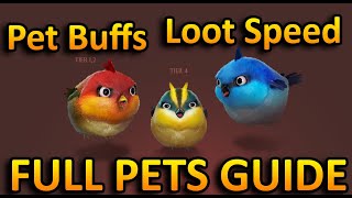 Full Guide For Pets, Buff,Speed Etc | Black Desert