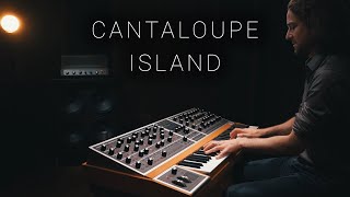 Cantaloupe Island 🌞☮️🌴 | Moog One 16 | Left Hand Bass & Piano