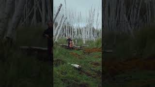 Bach’s 2nd Cello Suite, played by @yoyoma  in the Lower Tanana Dene lands near Fairbanks, Alaska🏔️