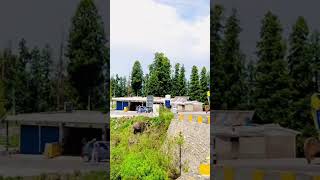 Lasdana bagh Ajk |beautiful place  #kashmir #youtubeshorts #nature #viralshorts #viral