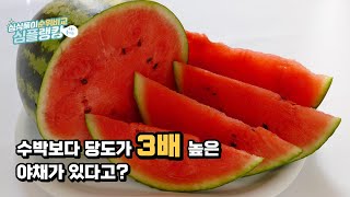 수박보다 당도가 3배나 더 높은 야채