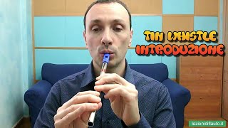 Impara a suonare il tin whistle (qualcuno lo chiama flauto irlandese) - Introduzione