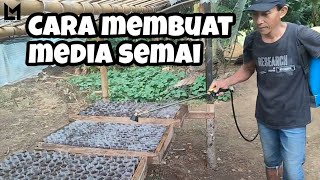 CARA MEMBUAT MEDIA SEMAI YANG SUBUR UNTUK TERONG | CARA MENANAM TERONG