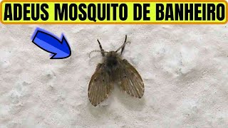 DICA CASEIRA PARA ACABAR COM OS MOSQUITOS DE BANHEIRO RAPIDAMENTE