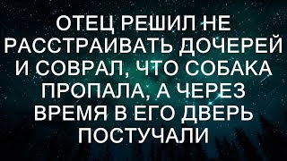 Отец решил не расстраивать дочерей и соврал, что собака пропала, а через время в его дверь постучали