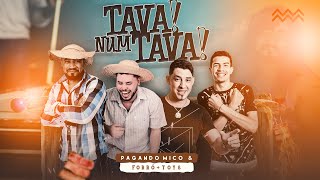 Tava Num Tava - Chico Miséria e cumpade Zé feat Forró + Toys