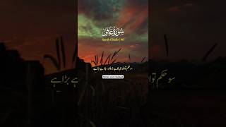 Surah Ghafir Verses 10 to 12 Urdu Translation#qurantranslation#youtubeshorts#trending#viralvideo