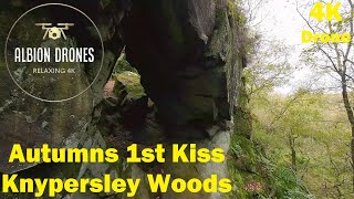 Autumn's first kiss, Knypersley Woods - DJI AVATA 4K video 60fps