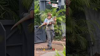 Baby Velociraptor dinosaur|Jurassic park tour| #shorts #jurassicpark