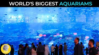 BIGGEST AQUARIUMS IN THE WORLD!